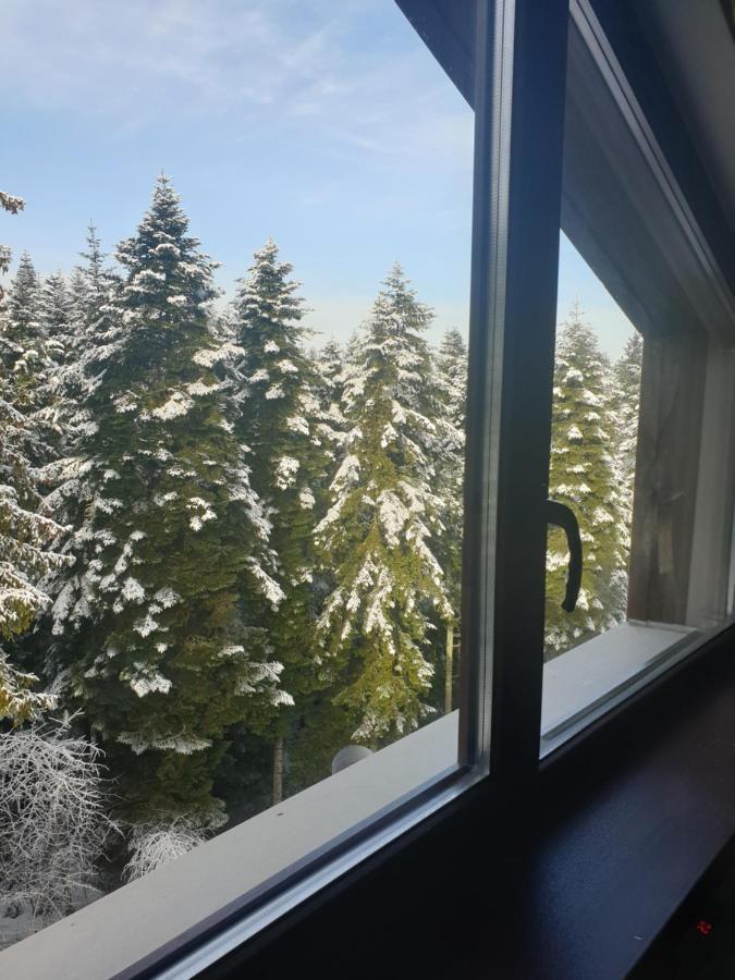 Borovets Forest View Exterior photo